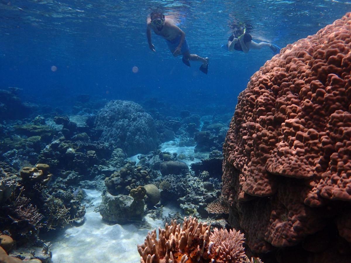 Blue Coral Homestay Karimunjawa Buitenkant foto