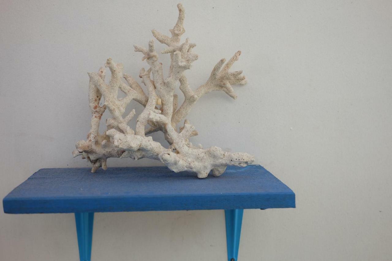 Blue Coral Homestay Karimunjawa Buitenkant foto