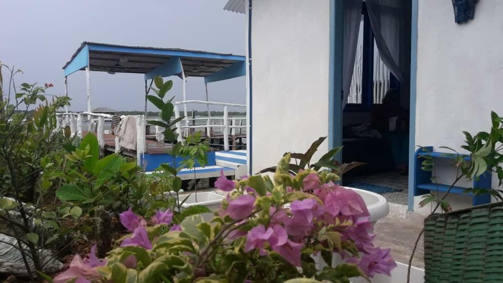 Blue Coral Homestay Karimunjawa Buitenkant foto